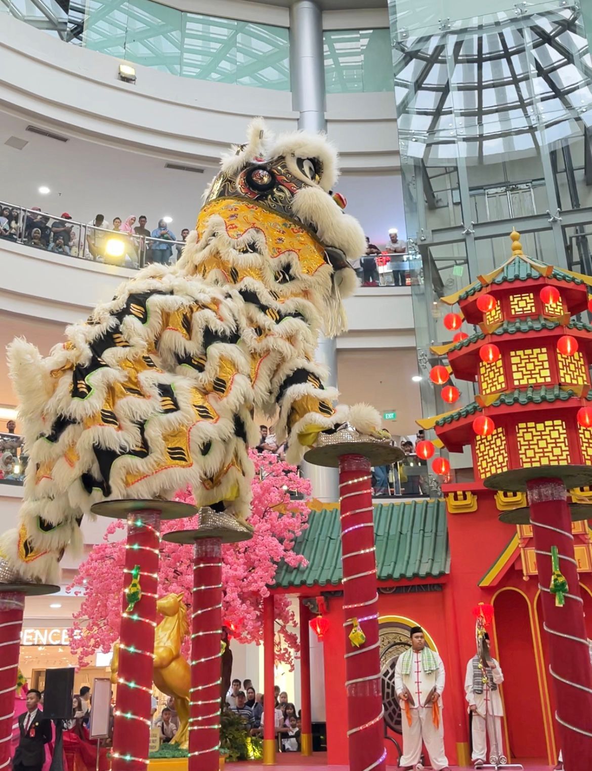 Chinese New Year 